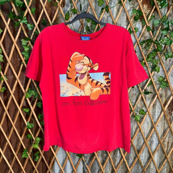 Vintage Y2K hundred acre pooh Tigger 90s disneyland t-shirt - Picture 1 of 4